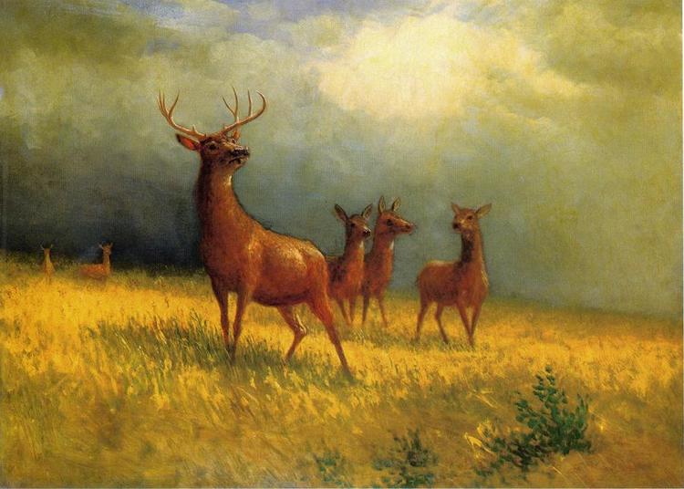 Albert Bierstadt Oil Painting Deer in a Field